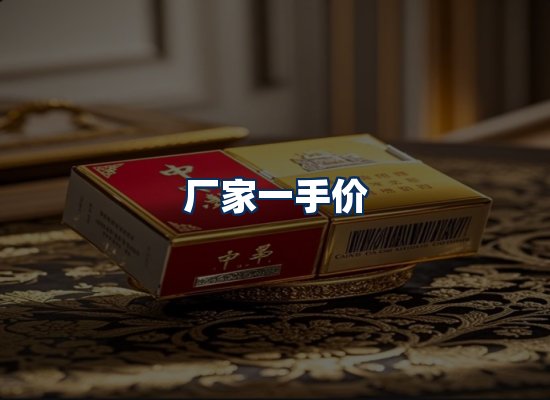 专业团队办公环境